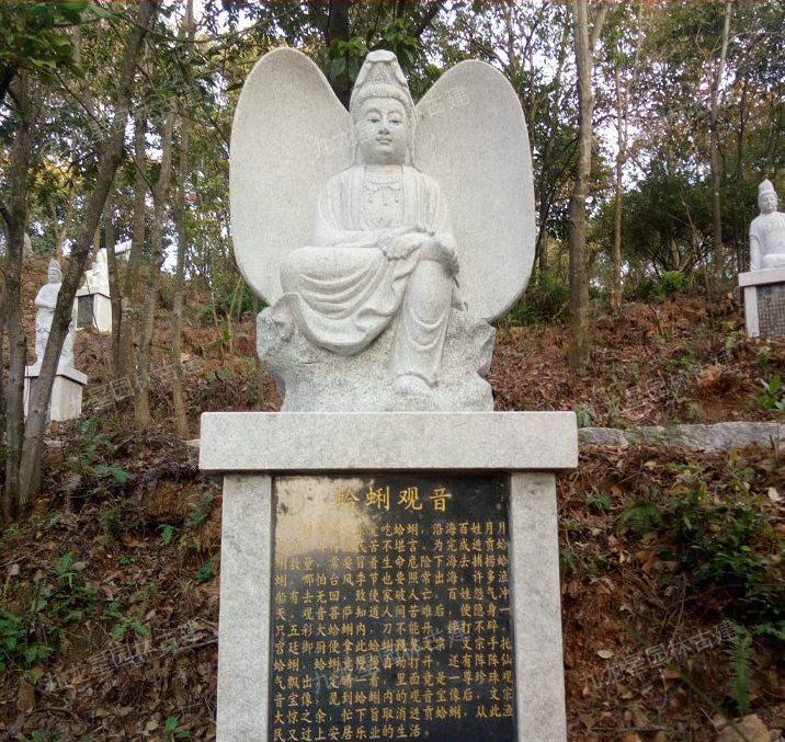 1621330696721944.png image.